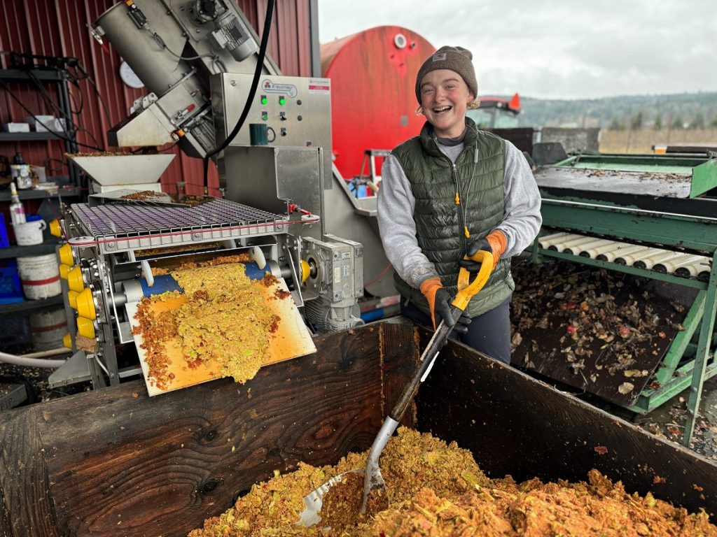 a person churns a large vat of pressed apples