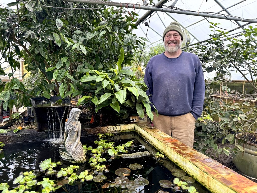 John Bellow standing by a small above ground man-made pond with a cement mermaid in it and lilypads