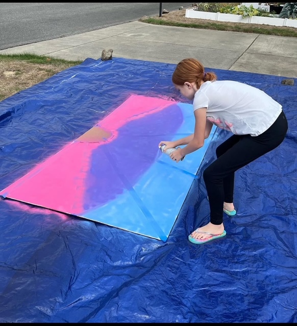 olyplywood project youth murals