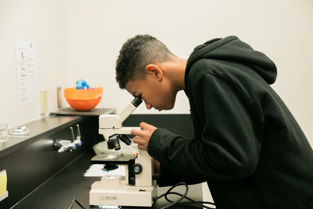 a high school boy looks into a microscope