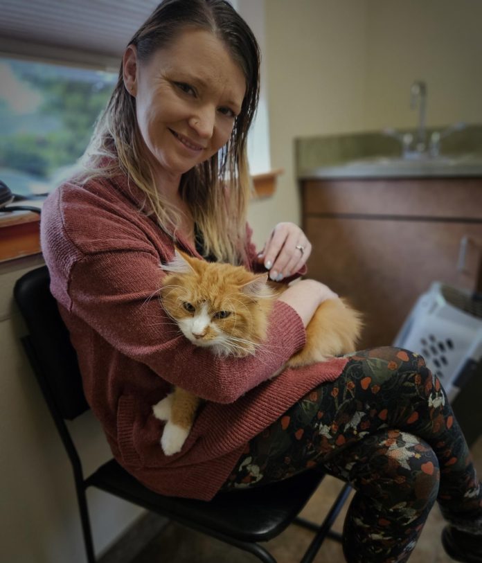 Olympia Cat Cafe cat adoption