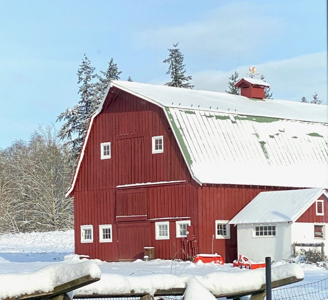 a red barn with snow on the roof and ground