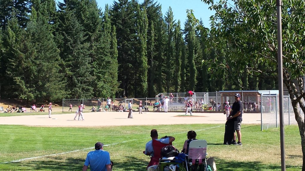 people sitting on the grass in the shade watching a baseball game at LBA park