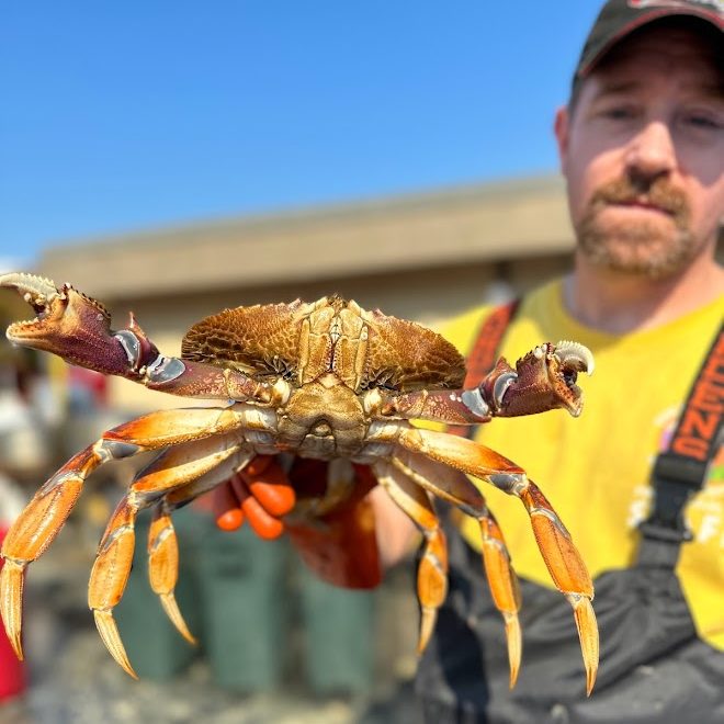 a man in waders holds up a live crab