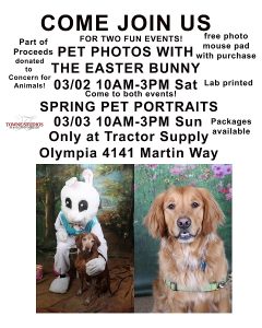 Spring Pet Portraits @ Tractor Supply