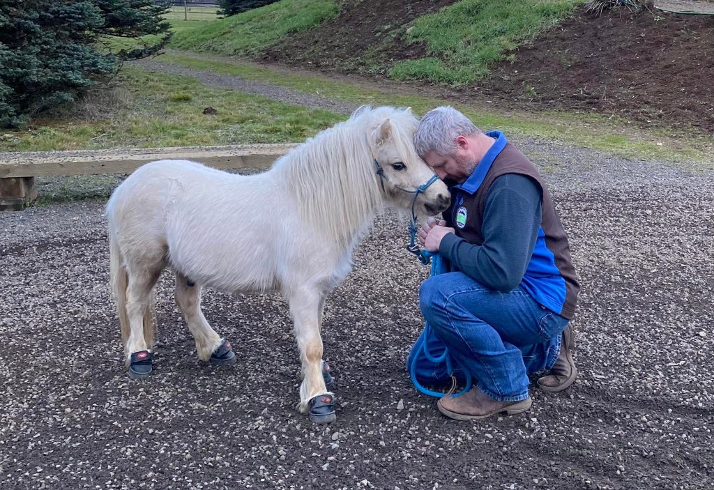 Apollo with his handler Matt, kneeling in front of him