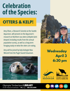 Celebration of the Species: Otters & Kelp! @ Olympia Timberland Library