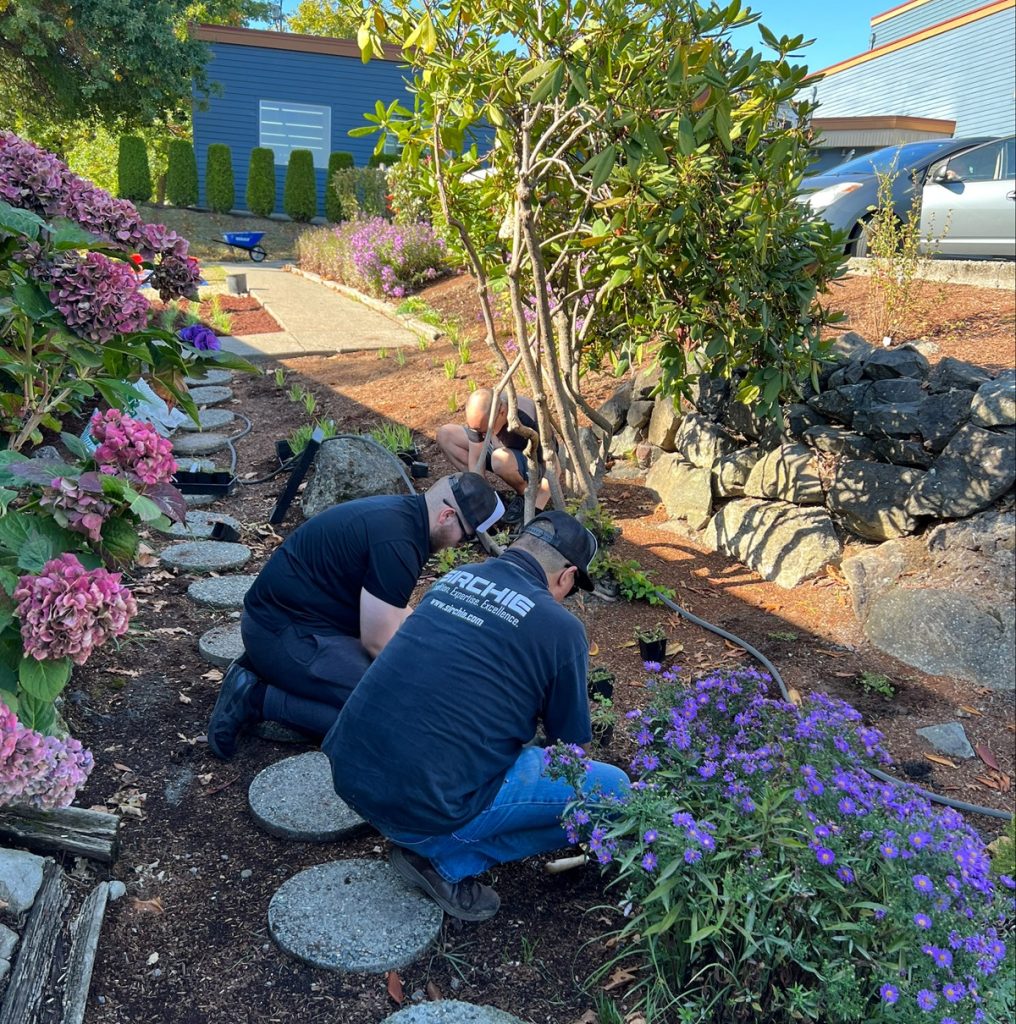 two people planting plants in a garden