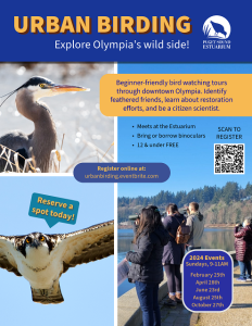 Urban Birding Tour @ Meet at Puget Sound Estuarium