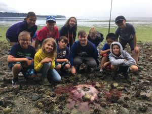 Sign up Today for Classic Beach Summer Camps @ Nisqually Reach Nature Center