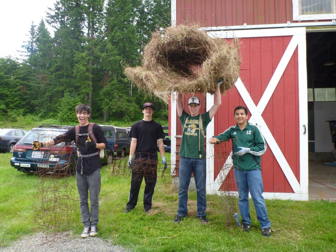 high school kids stand by a red and white barn, one is holding up a huge round pile of dried grass, three others all have pieces of rusty wire fencing
