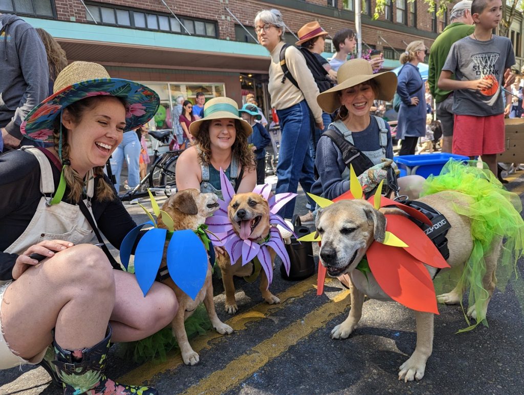 Don’t Miss the Olympia Pet Parade & Summer Splash! fun at Hands On