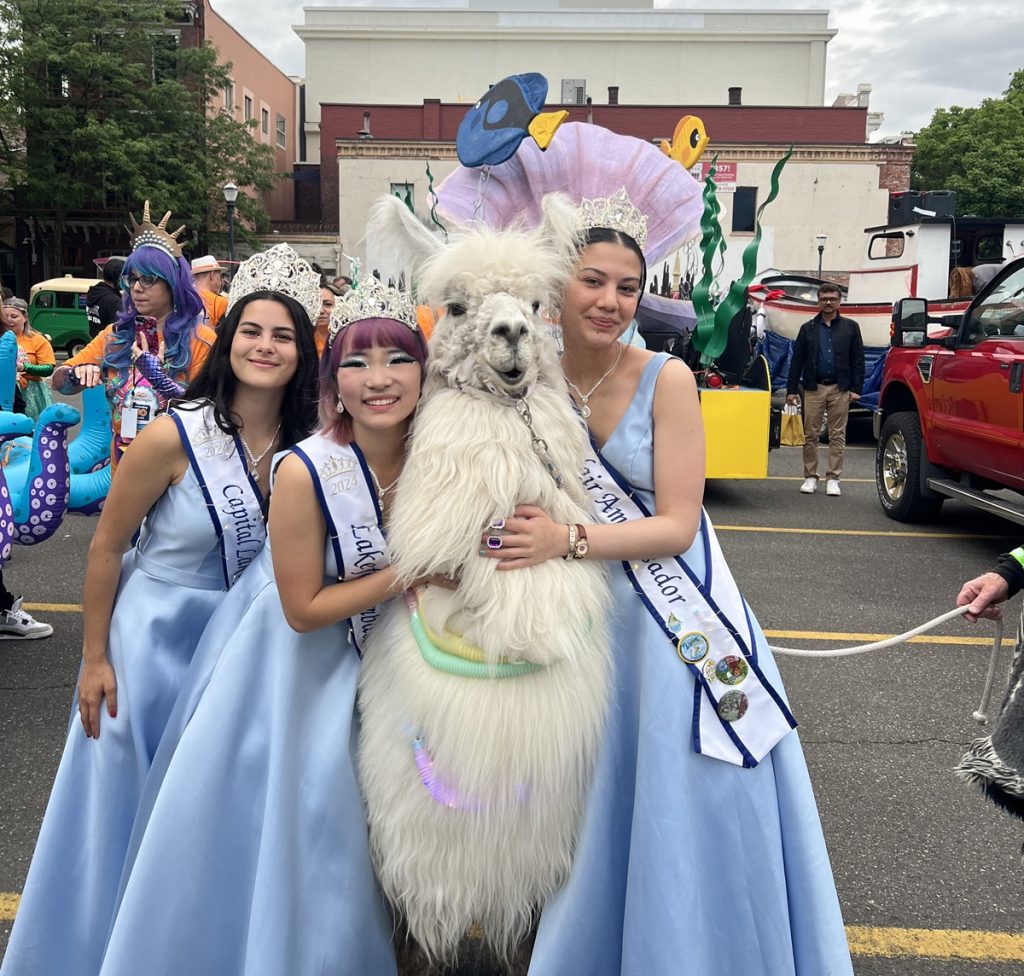 Capital Lakefair court in blue dresses posing for a photo with a white llama