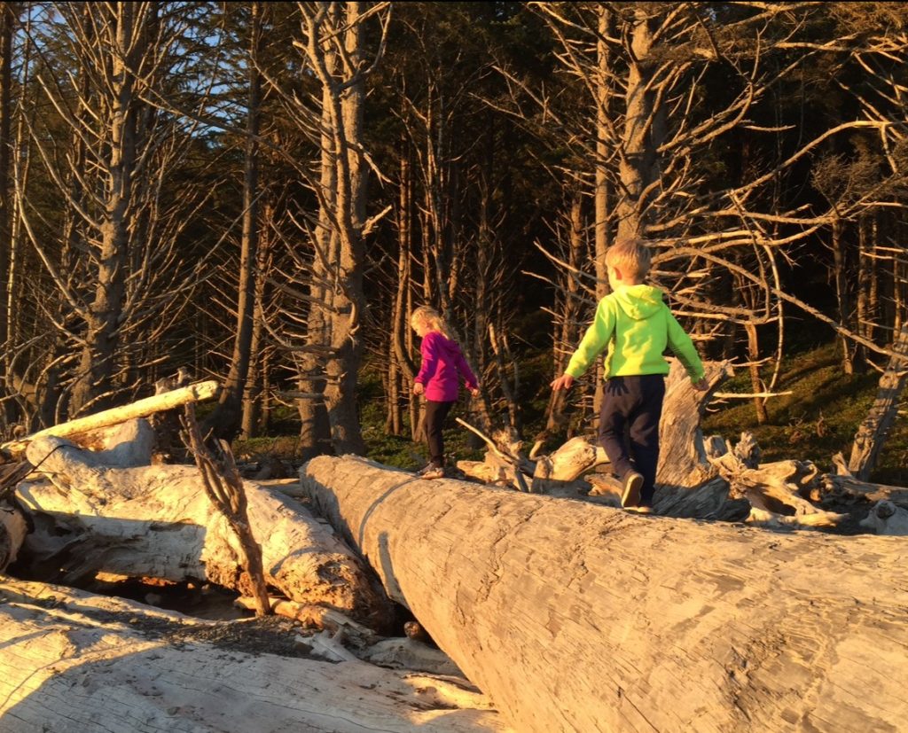 kids walking along a large fallen tree