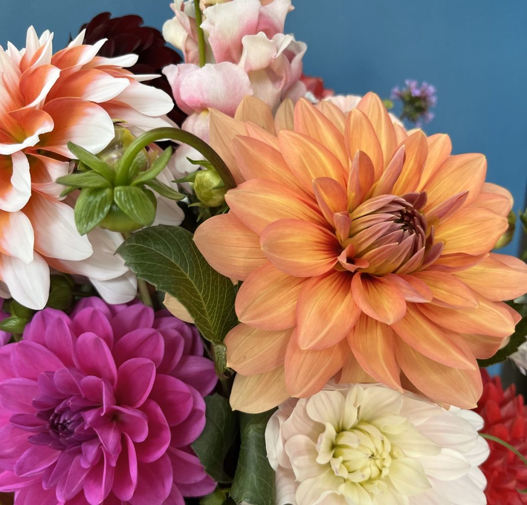 a close up of a bouquet of a bunch of different flowers in pinks and oranges