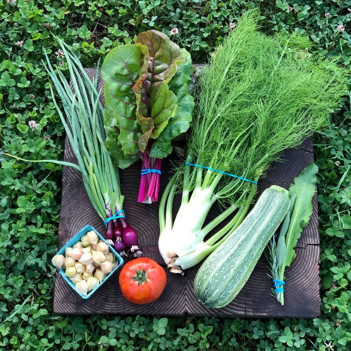 a bunch of vegetables on a tray with greens around it.