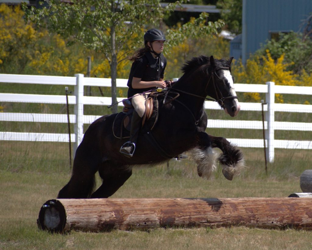 Kylan jumping over a log on Daeg in a field