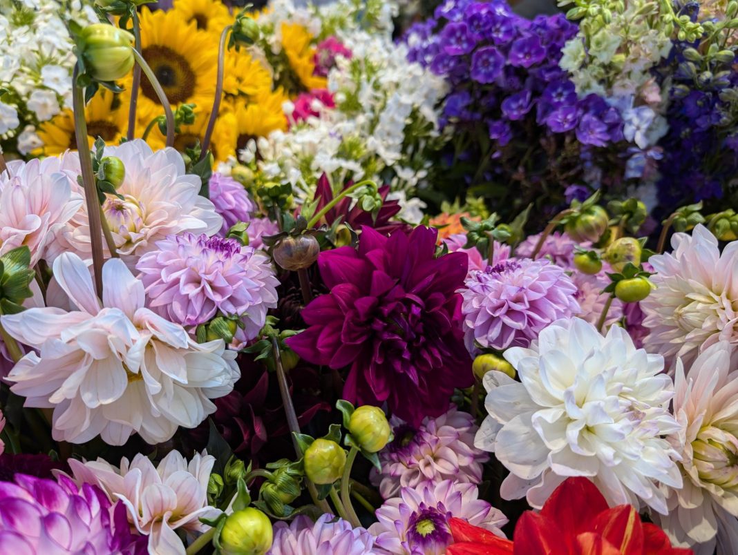 large bunch of assorted flowers in lots of colors