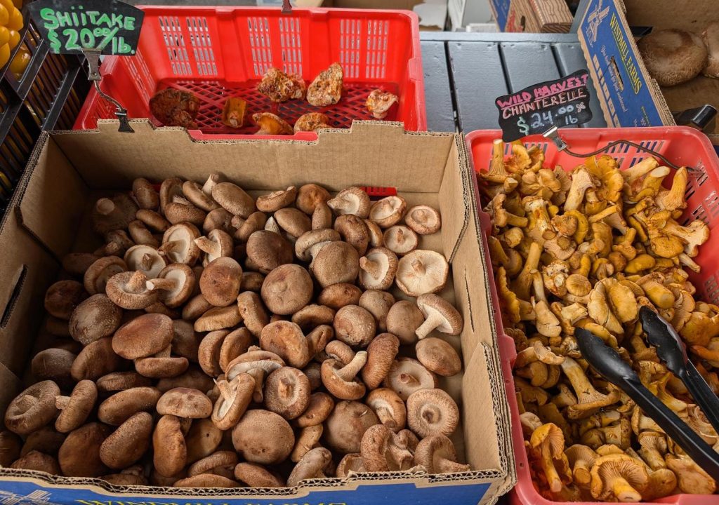 cardboard boxes full of mushrooms
