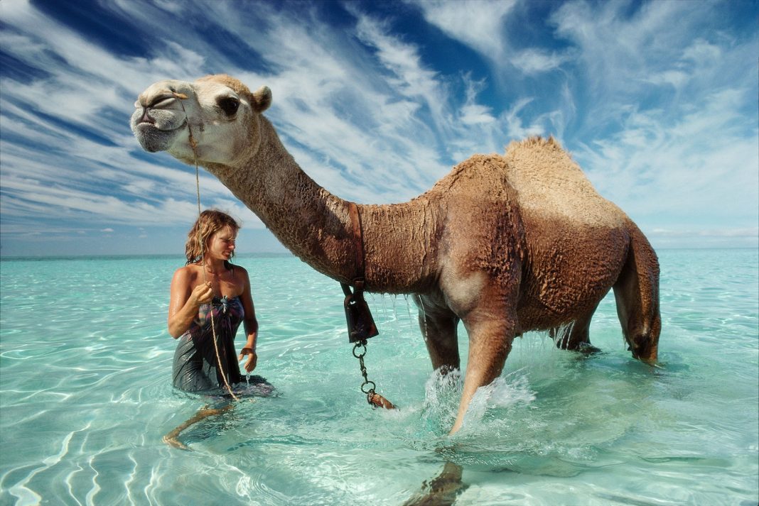 a woman and a camel in the ocean