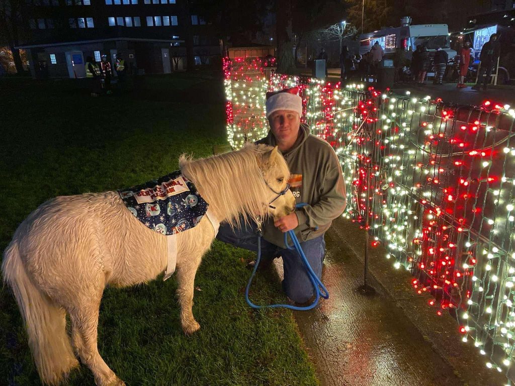 mini horse with a man kneeling in front of him, looking at a wall of christmas lights