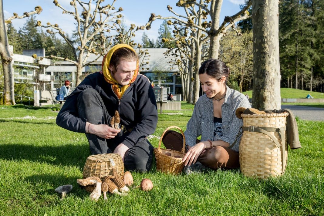 two people in the grass looking at mushrooms