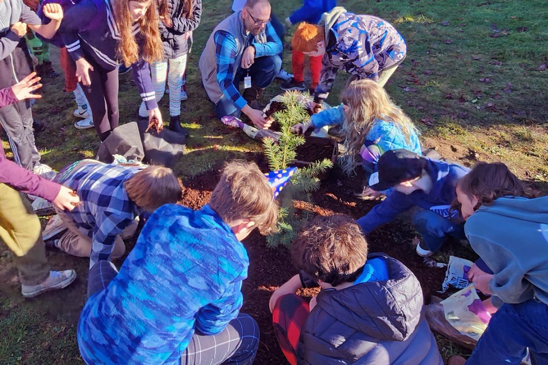 students and an adult planting a douglas fir