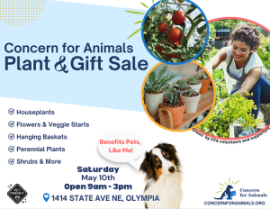 Concern For Animals Annual Plant Sale @ Concern For Animals