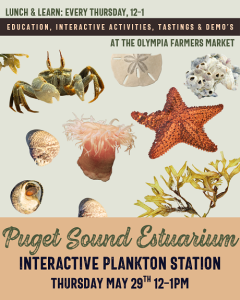 Lunch & Learn: Interactive Plankton Station with the Puget Sound Estuarium! @ Olympia Farmers Market