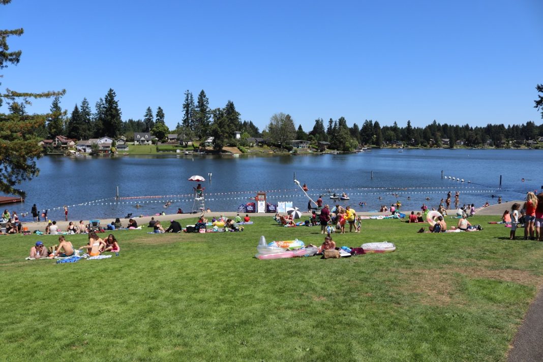 people handing out in a grassy area by a lake