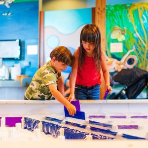 First Friday Night @ Hands On Children's Museum