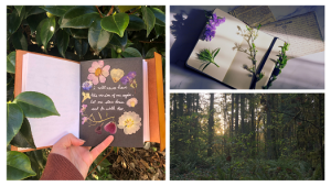Intro to Nature Journaling @ Squaxin Park