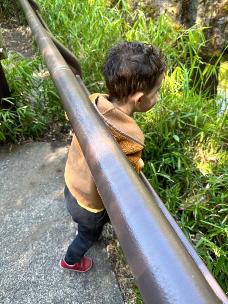 a little boy leans his head through a fence railing