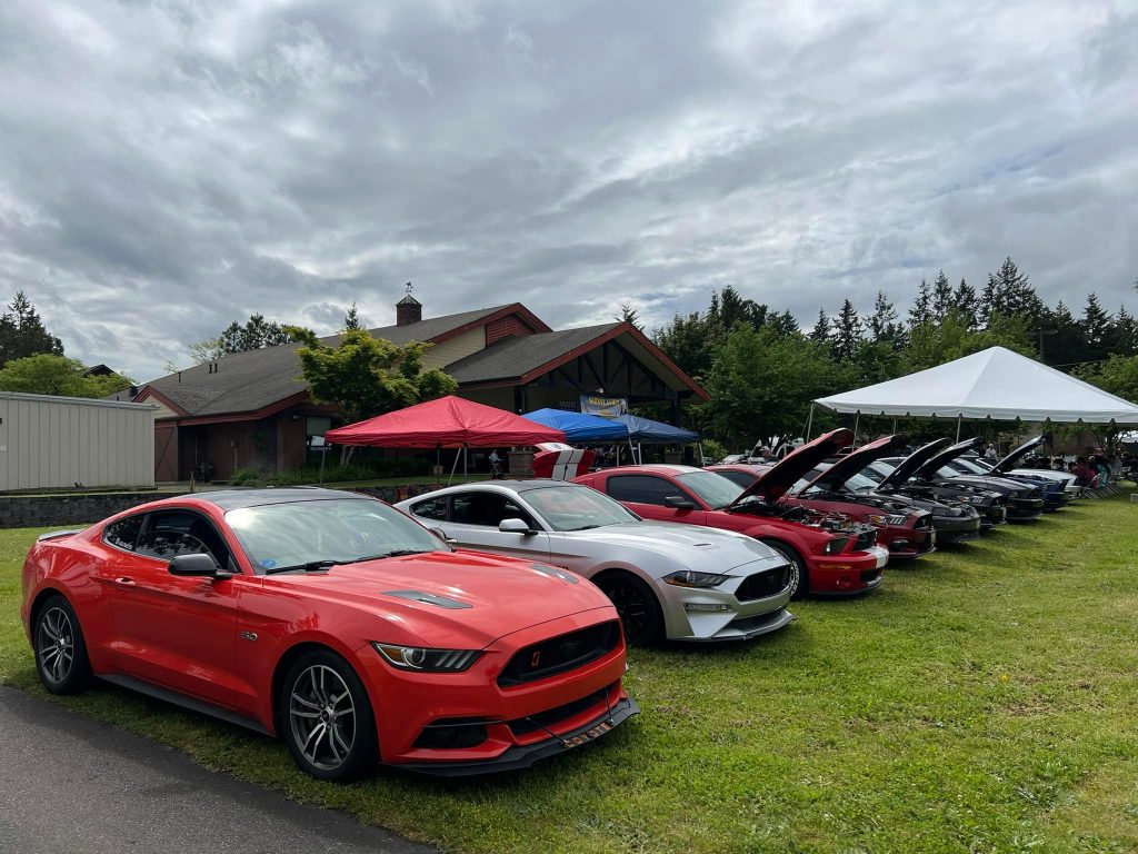 a row of cars on grass lined up for a car show at the Lacey Duck Dash