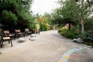 Nature in the City @ WET Science Center