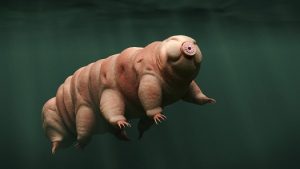 Tales from a Tardigrade + DHH Interpreted Tour @ WET Science Center
