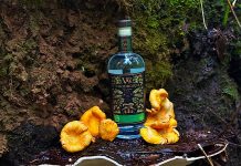 a bottle of Woodborne Spirits vodka with chantrelle mushrooms lying around it