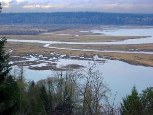 Summer Lecture Series @ Norm Dicks Visitor Center Auditorium, Billy Frank Jr. Nisqually National Wildlife Refuge