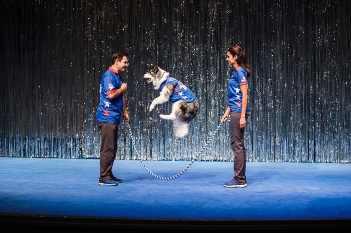 two people hold a jump rope while a dog jumps it