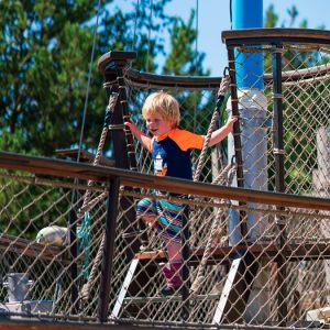 $1 Admission Exhibits, Activities & Guests @ Hands On Children's Museum