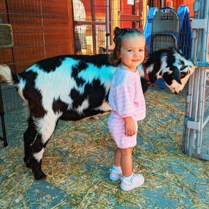 Meet Real Farm Animals with Animal Encounters @ Hands On Children's Museum