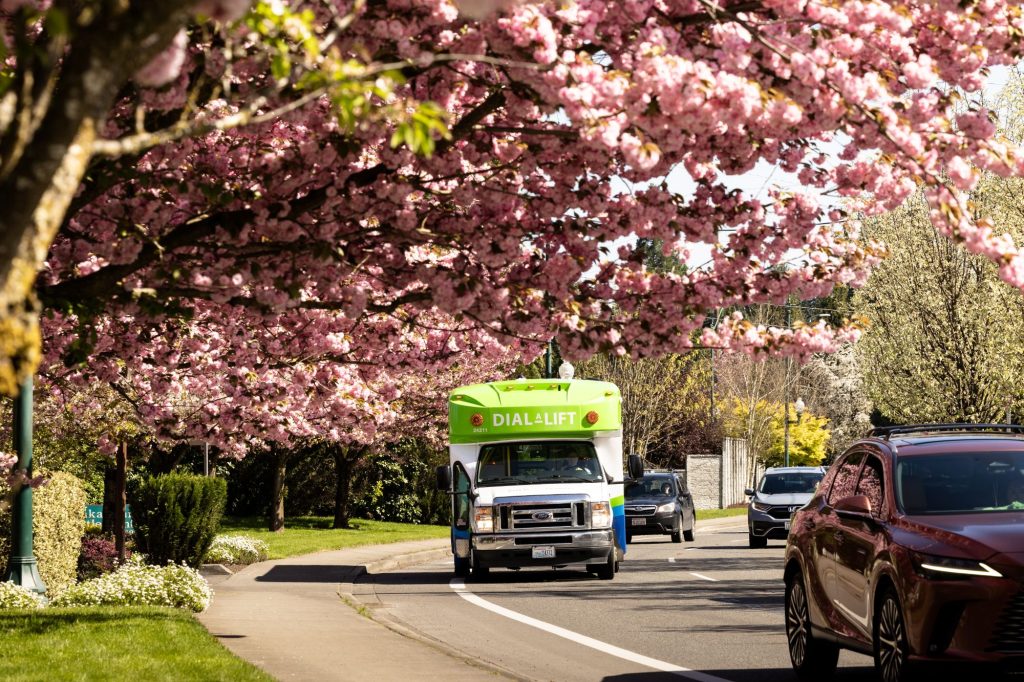 an Intercity Transit Dial-a-Lift van on a road with other cars. Grass and flowers line the street. Trees full of cherry blossom are also on the one side of the road.