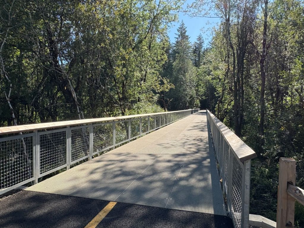 metal board walk with metal railing going into the trees at Grass Lake Park
