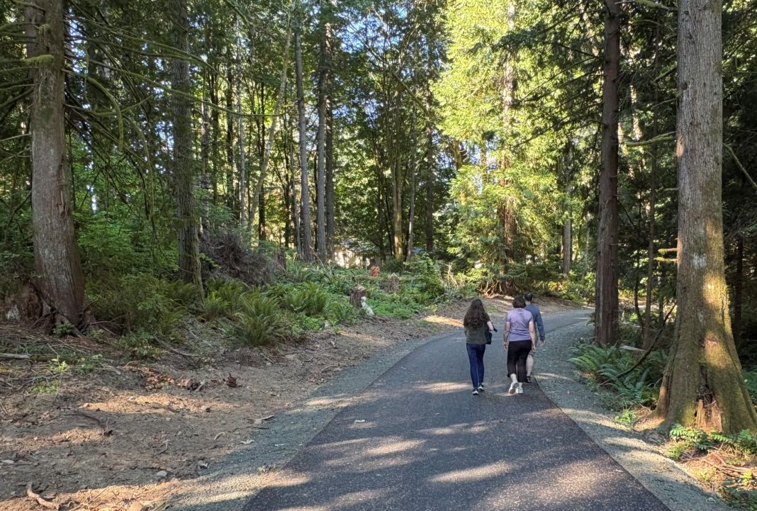 two women and a man walk on a paved trail between trees at Grass Lake Park in Olympia