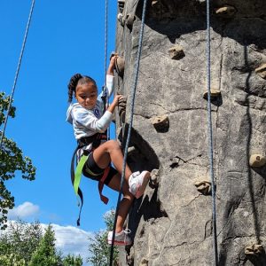 Climb the 25-Foot Rock Wall @ Hands On Children's Museum