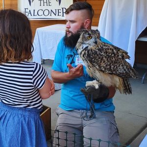 Raptor Ambassadors with The Falconer @ Hands On Children's Museum