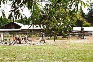 Open House and Open Enrollment for Sequoia’s Farm and Forest School! @ Sequoia’s Farm and Forest School