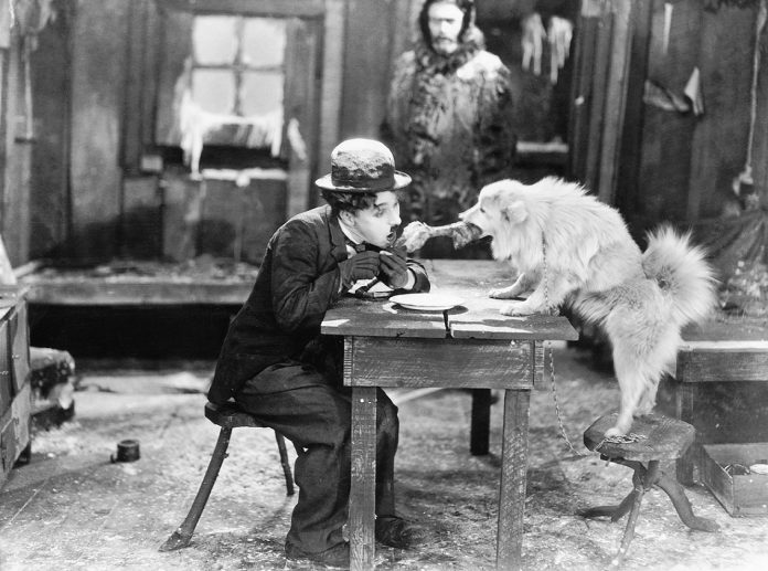 movies olympia events Washington-Center-silent-films-Gold-Rush-Charlie-Chaplin a black and white photo still from the movie 'The Gold Rush.' Buster Keaton is sitting at a table with his hands by his open mouth - with a large meat bone near it. A dog stands on a chair on the other side of the table and is holding the bone in it's mouth. A man is standing in the background